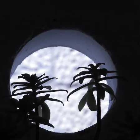 Eta Vis 아파트